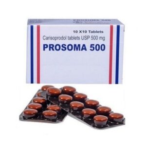 Prosoma 500